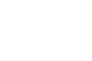 American Heart Association Logo